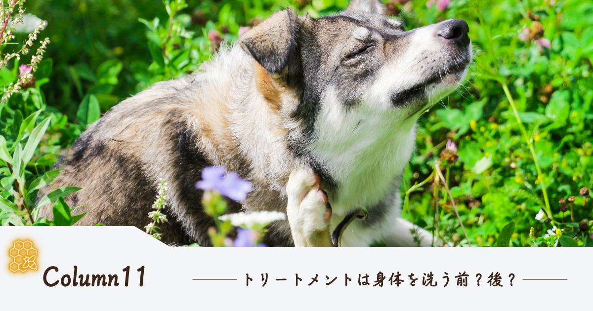 トリートメントは身体を洗う前？後？