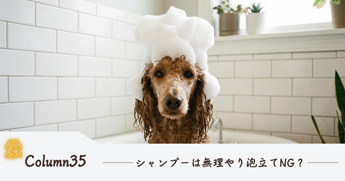 シャンプーは無理やり泡立てなくても良いんです