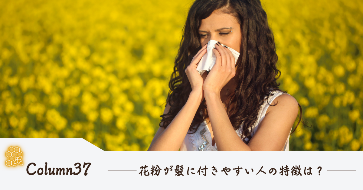 花粉が髪に付きやすい人の特徴は？ダメージヘアに潜む春のパサつき原因と対策