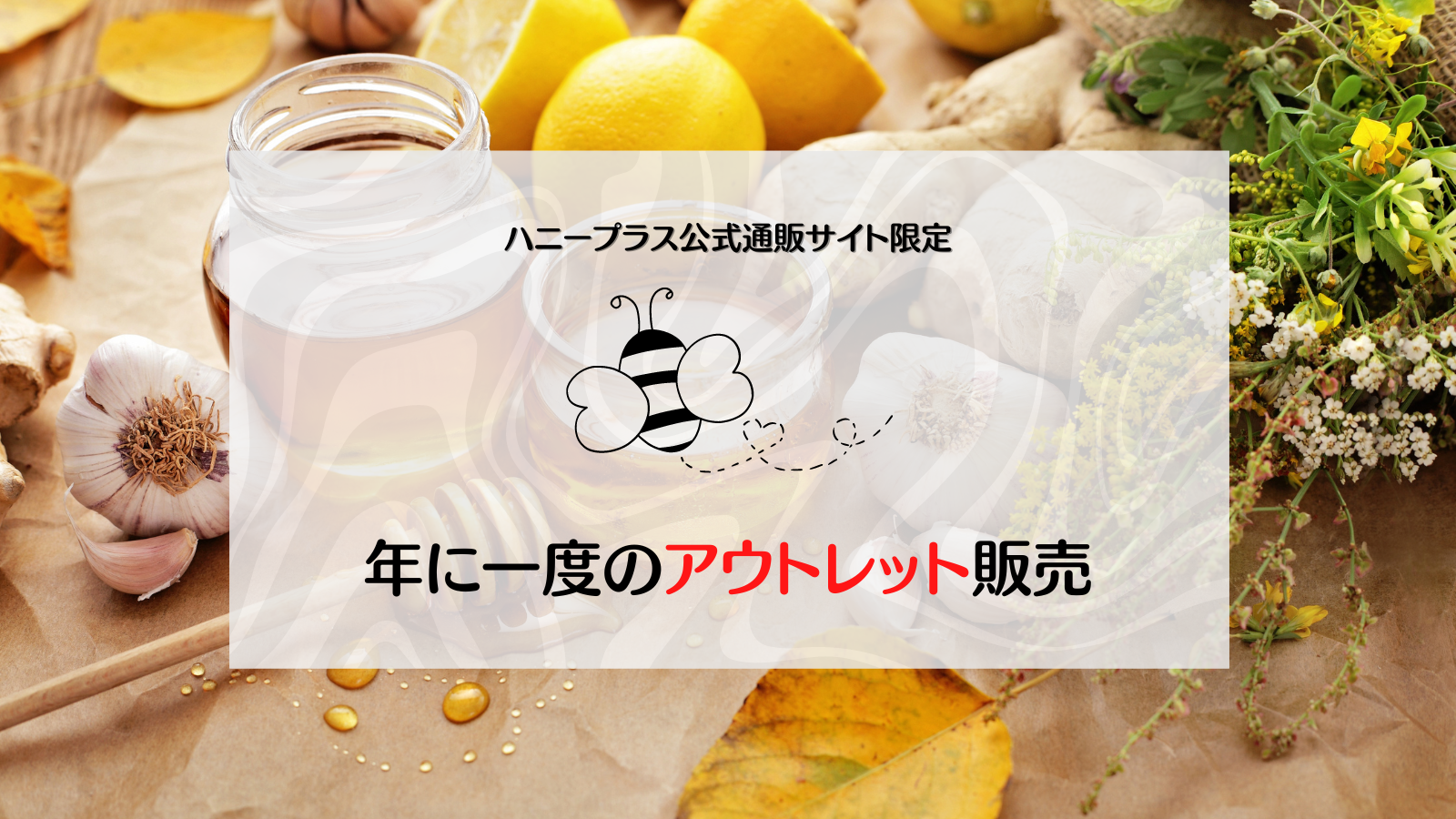 【公式】アウトレットコーナー【数量限定】