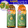 【2本セット】ハニープラス シャンプー＆モイストトリートメント
