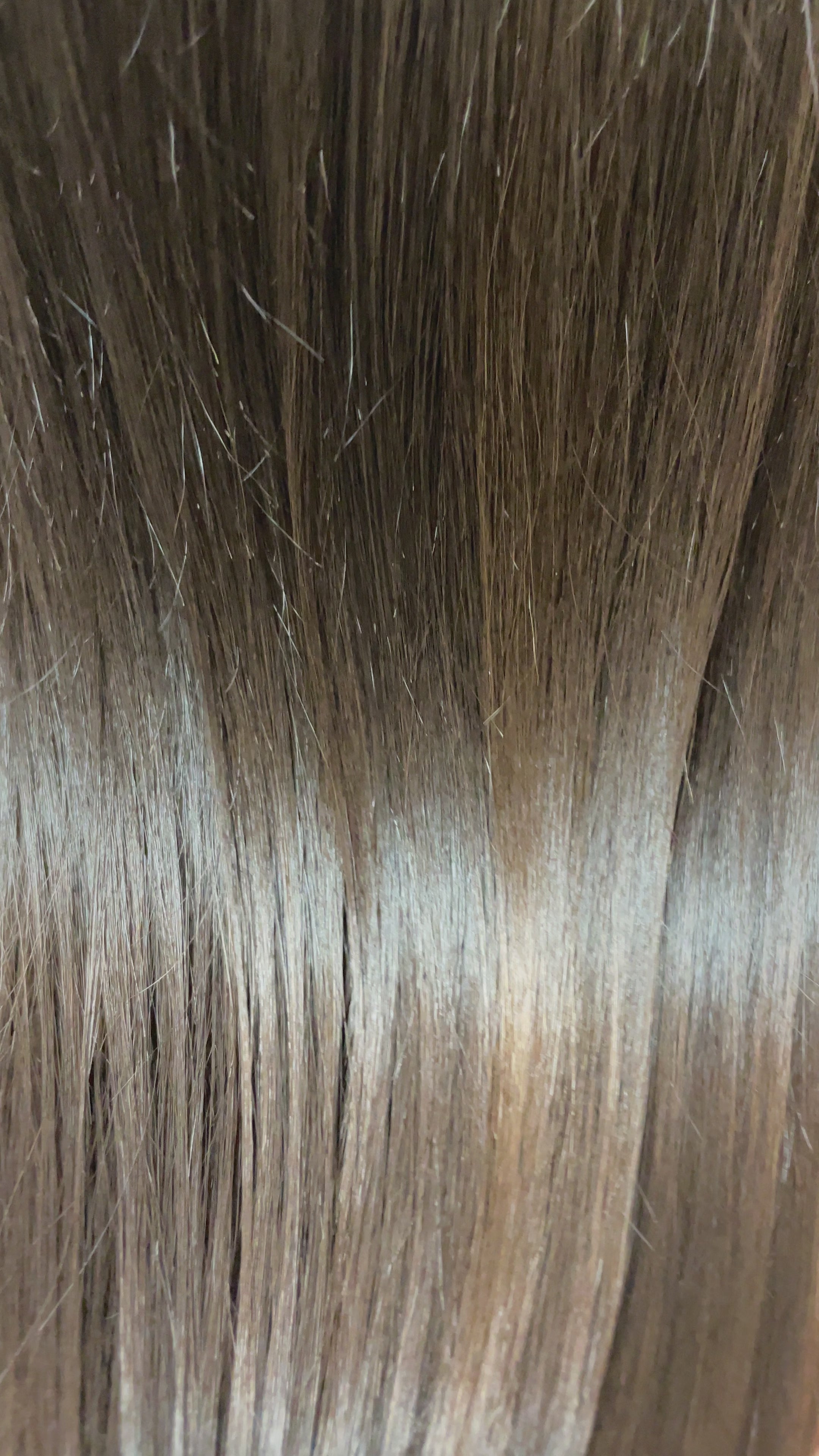 ハニープラス アミノブレンドヘアマスク スターターセット